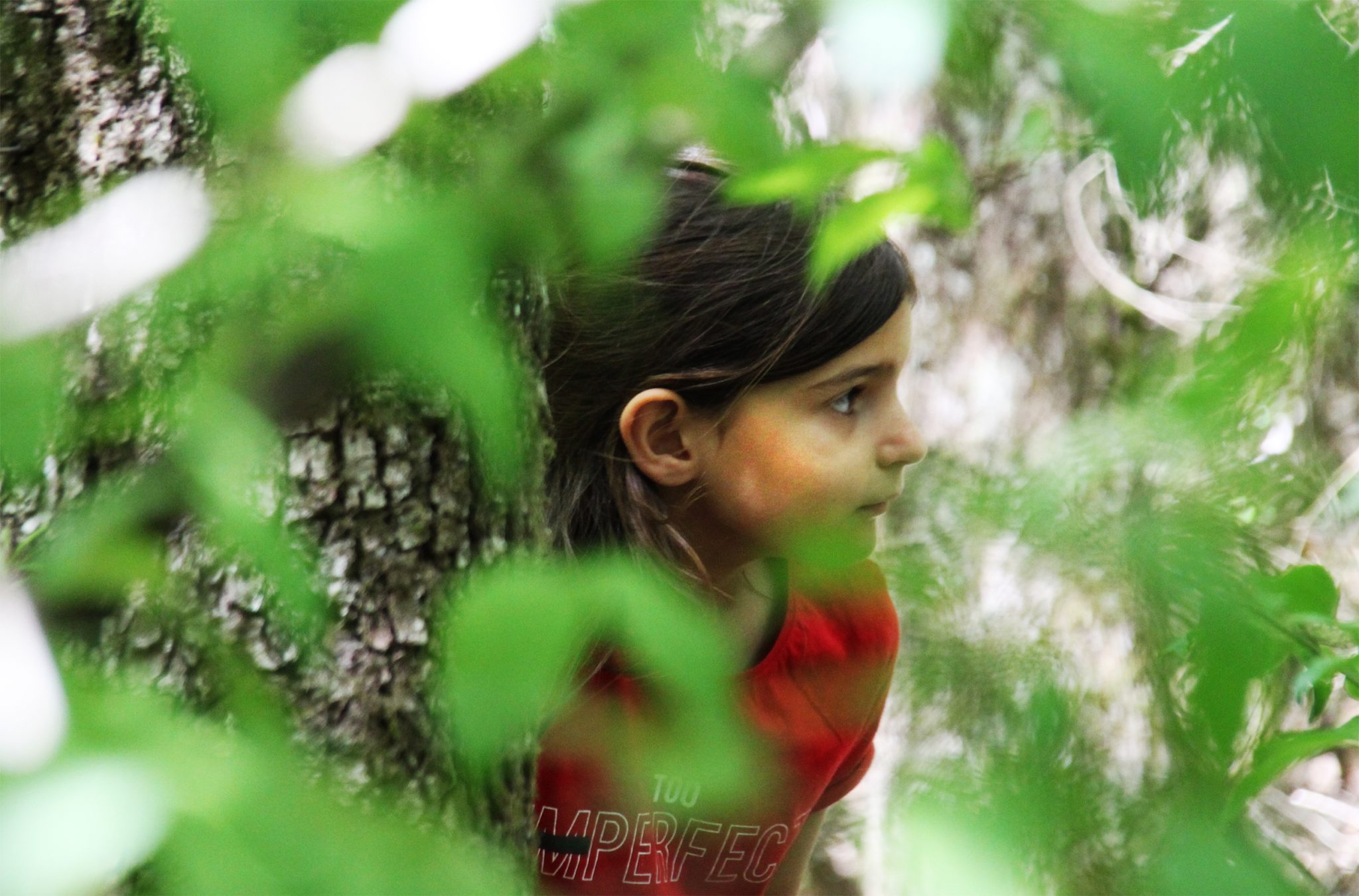 Enfants sur le sentier pédagogique - Forêt de Marsanne ©SScorbiac