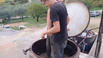 Distillation de la lavande
