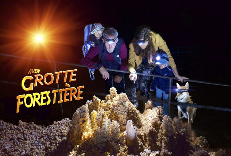 Grotte Forestière. « Visitez Autrement » à Orgnac-l'Aven - 0