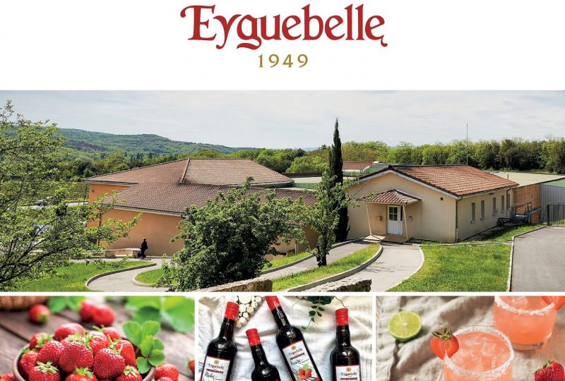 Domaine Eyguebelle à Valaurie - 6