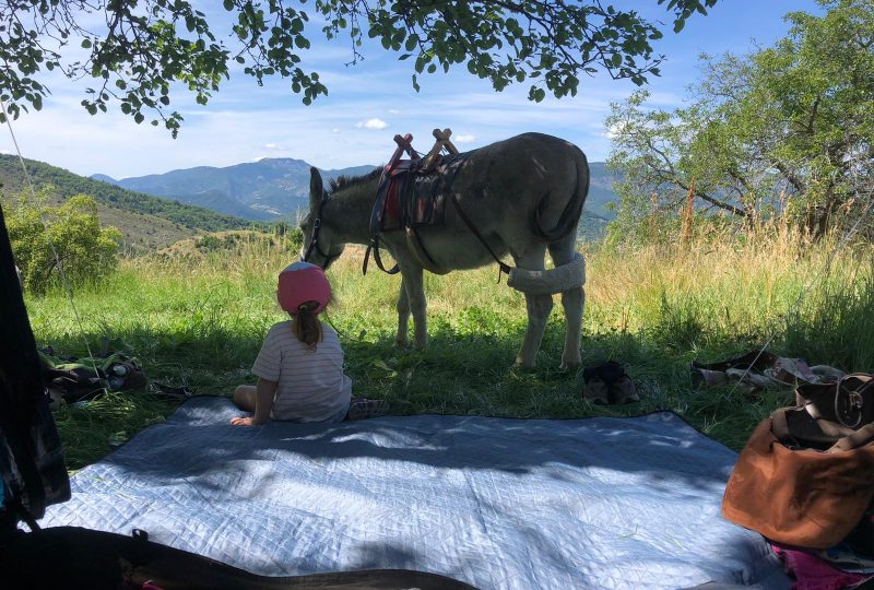 Camping à la ferme Bamboul’âne à Éourres - 0