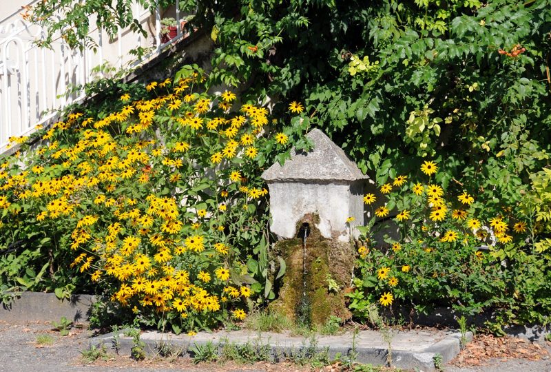 Visite Guidée  » Fontaines & Bassins  » dans le cadre de Dieulefit dans son jardin à Dieulefit - 2