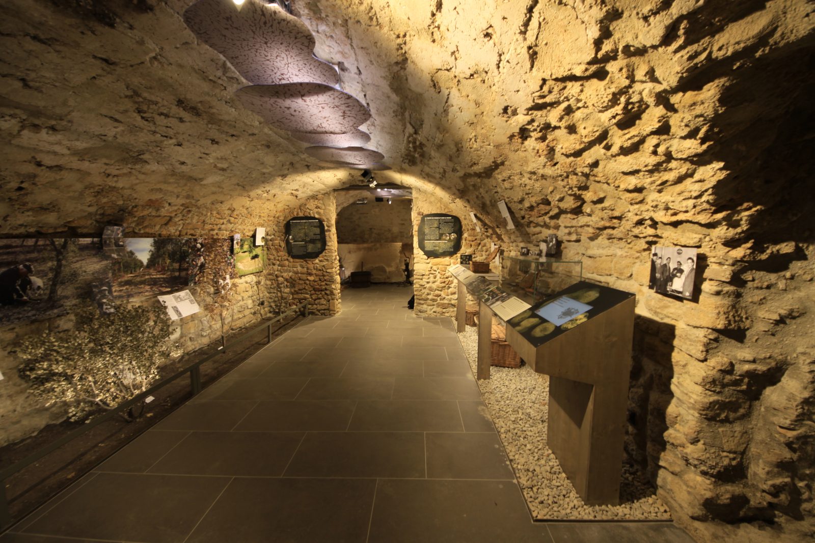 Musée de la truffe et du vin
