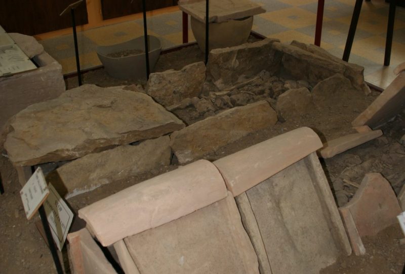 Musée de pays – Archéologie et Paléontologie à Valréas - 1