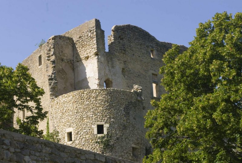 Château de Montbrun les Bains à Montbrun-les-Bains - 3